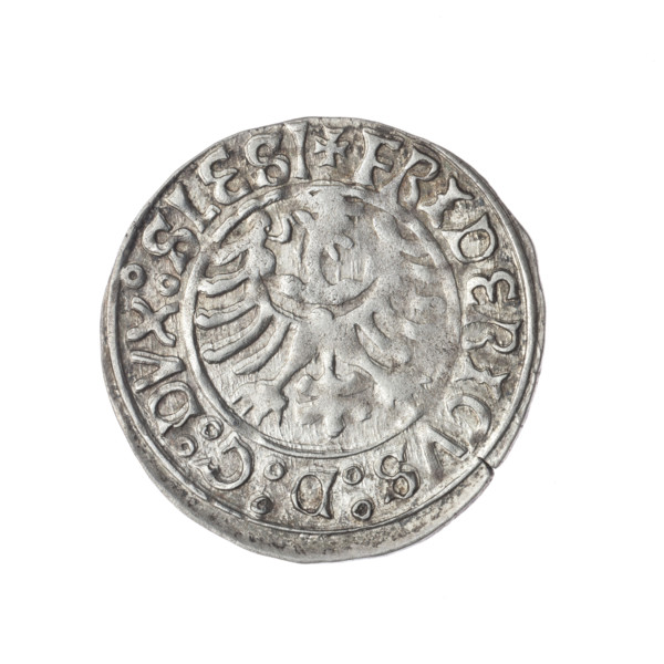 Obverse: Half-figure of Frederick II (Duke of Brzeg-Legnica; 1480–1547); in the rim between the