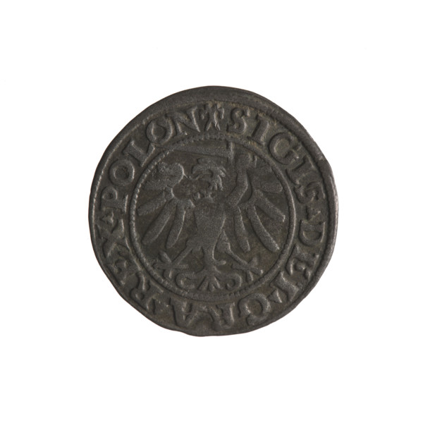 Gdansk szelag, Sigismund I the Old (King of Poland; 1506–1548). Obv.: Eagle of Royal Prussia; in