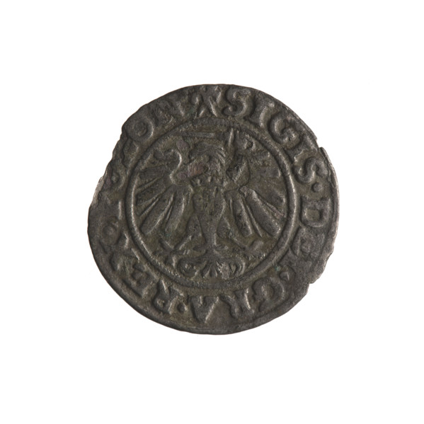 Gdansk szelag, Sigismund I the Old (King of Poland; 1506–1548). Polish coin (1539). Obverse: Eagle