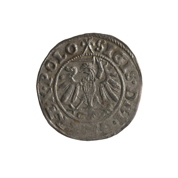 Gdansk szelag, Sigismund I the Old (King of Poland; 1506–1548). Obv.: Eagle of Royal Prussia, in