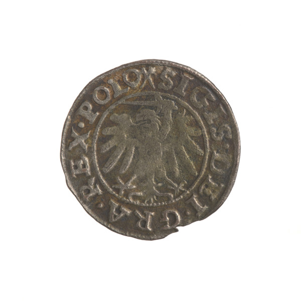 Gdansk szelag, Sigismund I the Old (King of Poland; 1506–1548). Obverse: Eagle of Royal Prussia, in