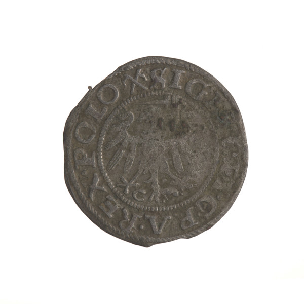 Gdansk szelag, Sigismund I the Old (King of Poland; 1506–1548). Polish coin (Gdansk), 1539.