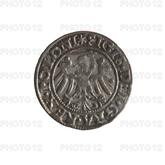 Gdansk szelag, Sigismund I the Old (King of Poland; 1506–1548). Obverse: Eagle of Royal Prussia; in