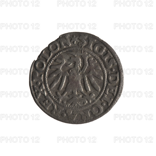 Gdansk szelag, Sigismund I the Old (King of Poland; 1506–1548). Polish coin (Gdansk), 1547.