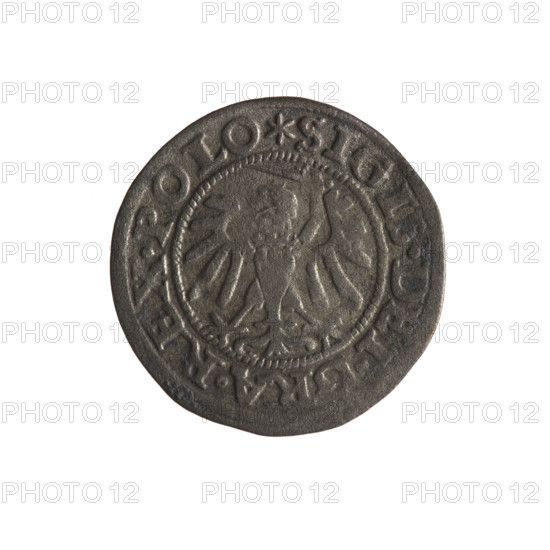 Gdansk szelag, Sigismund I the Old (King of Poland; 1506–1548). Obverse: Eagle of Royal Prussia, in
