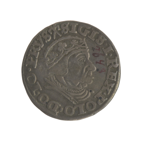 Gdansk trojak, Sigismund I the Old (King of Poland; 1506–1548). Obverse: Crowned male bust in