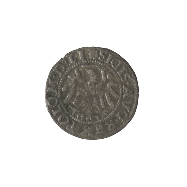 Gdansk szelag, Sigismund II Augustus (King of Poland; 1544–1572). Obv.: Eagle of Royal Prussia; in