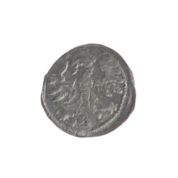 Lithuanian denarius, Sigismund II Augustus (King of Poland; 1544–1572); emblems of the Jagiellons