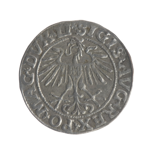 Lithuanian half-grosz, Sigismund II Augustus (King of Poland; 1544–1572). Obverse: Polish eagle; in