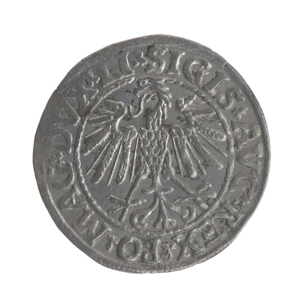 Lithuanian half-grosz, Sigismund II Augustus (King of Poland; 1544–1572). Obverse: Polish Eagle; in