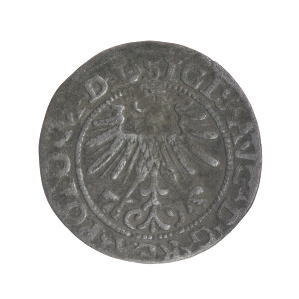 Lithuanian half-grosz, Sigismund II Augustus (King of Poland; 1544–1572). Obverse: Polish Eagle; in