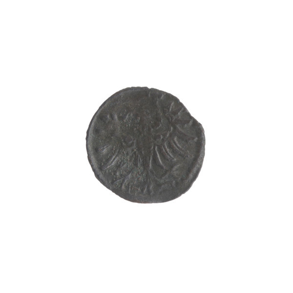 Gdansk denarius, Sigismund II Augustus (King of Poland; 1544–1572). Obverse: in the border the