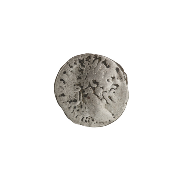 Denarius, Septimius Severus (Roman Emperor; 146–211). Obverse: LSEPTSEVPERT, emperor's head with