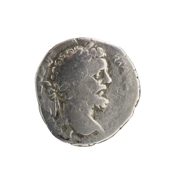 Denarius depicting Pax (personification) and Septimius Severus (Roman Emperor, 146–211). Obverse: