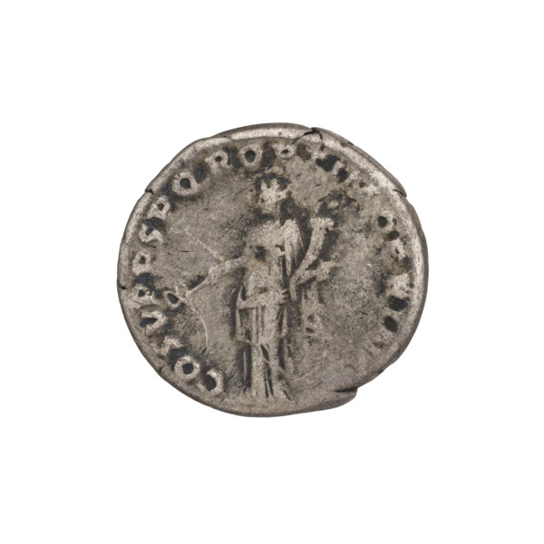 Denarius, Trajan (53–117; Roman emperor 98–117). Obverse: head of Trajan in laurel wreath facing