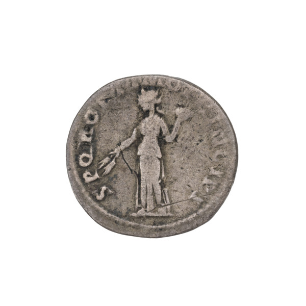 Denarius; obverse: head of Trajan wearing a laurel wreath facing right; rim inscription IMP TRAIANO