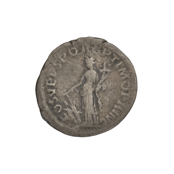 Denarius; Obv.: head of Trajan decorated with a laurel wreath facing right; rim inscription: IMP