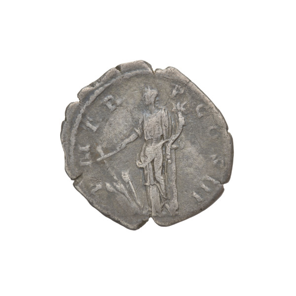 Denarius, Hadrian (76–138; Roman emperor 117–138). Obverse: bust of Hadrian right, laurel wreath in