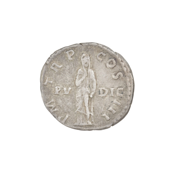 Denarius, Hadrian (76–138; Roman emperor 117–138). Obverse: Bust of Hadrian with laurel wreath