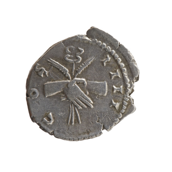 Denarius of Antoninus Pius (86–161; Roman Emperor 138–161), c. 145–161. Obverse: Head of Antoninus
