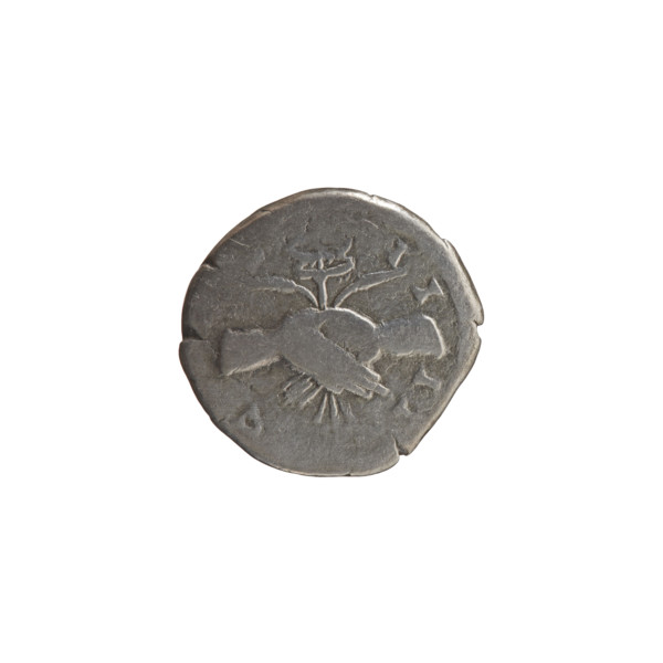 Denarius, Antoninus Pius (86–161; Roman emperor 138–161), c. 145–161. Obverse: Head of Antoninus