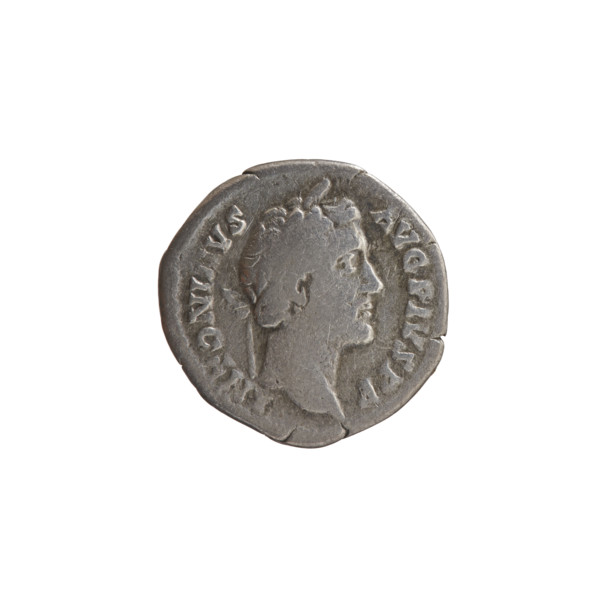 Denarius, Antoninus Pius (86–161; Roman emperor 138–161). Obverse: head of Antoninus Pius in a