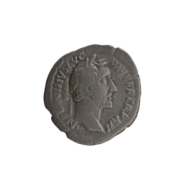 Denarius, Antoninus Pius (86–161; Roman emperor 138–161), issuer: Antoninus Pius. Obverse: Head of