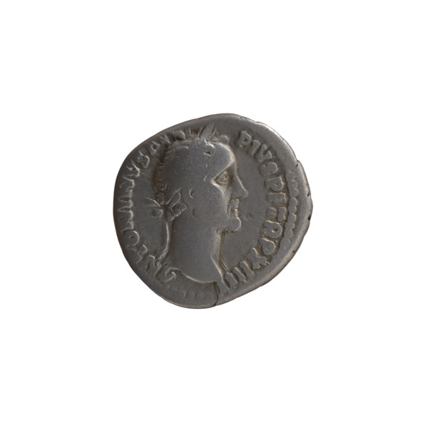 Denarius of Antoninus Pius (86–161; Roman emperor 138–161), c. 149–150. Obverse: Head of Antoninus