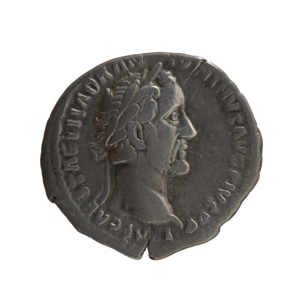 Denarius of Antoninus Pius (86–161; Roman emperor 138–161). Obverse: Head of the emperor in a