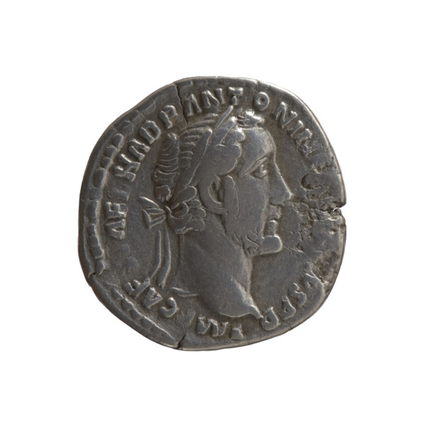 Denarius of Antoninus Pius (reigned 138–161). Obverse: head of the emperor wearing a laurel wreath,