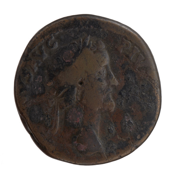 Sestertius, Antoninus Pius (86–161; Roman emperor 138–161). Obverse: head of Antoninus Pius in a