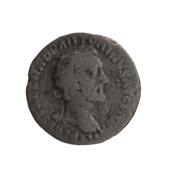 Denarius, Antoninus Pius (86–161; Roman emperor 138–161), issuer. Obverse: Head of Antoninus Pius