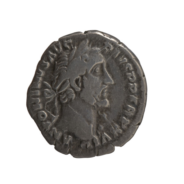 Denarius, Antoninus Pius (86–161; Roman emperor 138–161) (issuer). Obverse: Head of Antoninus Pius