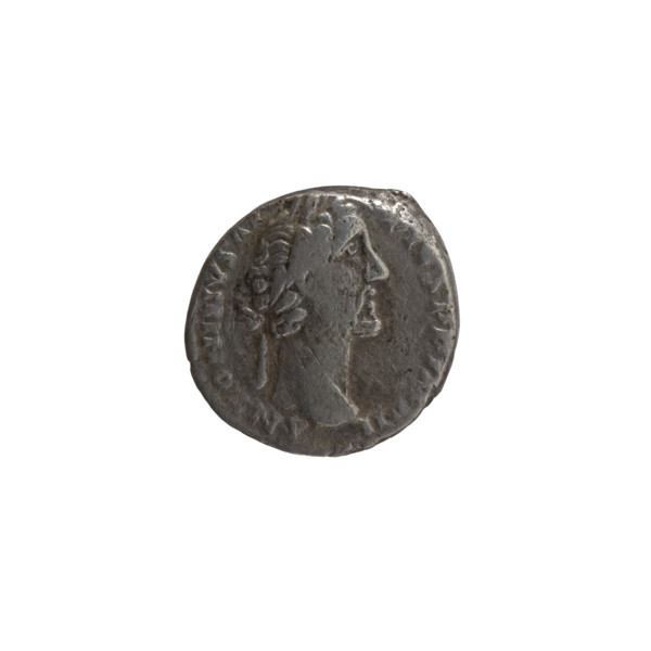 Denarius, Antoninus Pius (86–161; Roman emperor 138–161). Obverse: Head of Antoninus Pius in a
