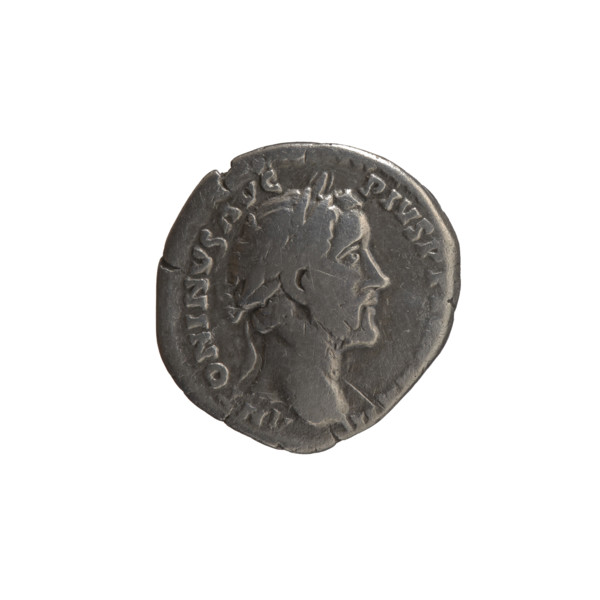 Denarius of Antoninus Pius (86–161; Roman emperor 138–161). Obverse: head of the emperor in a