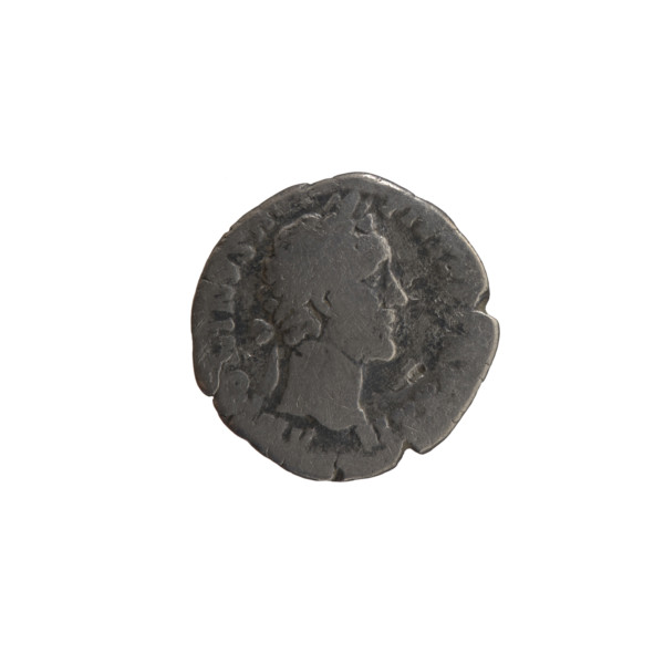 Denarius, Antoninus Pius (86–161; Roman emperor 138–161) — obverse: head of the emperor in a laurel