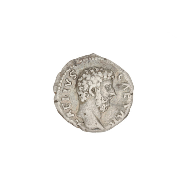Denarius, Aelius (101–138; successor of Hadrian 136–138). Obverse: head of Aelius facing right; rim