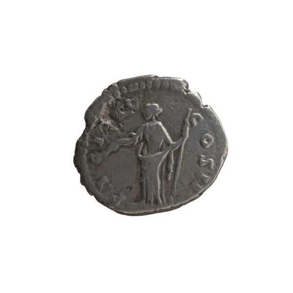 Denarius, Antoninus Pius (86–161; Roman emperor 138–161). Obverse: Head of Antoninus Pius in a