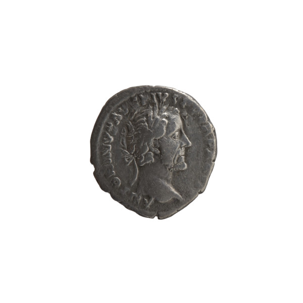 Denarius, Antoninus Pius (86–161; Roman emperor 138–161), issuer: Antoninus Pius. Obverse: head of