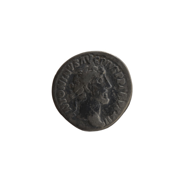 Denarius of Antoninus Pius (86–161; Roman emperor 138–161). Obverse: Head of Antoninus Pius in a