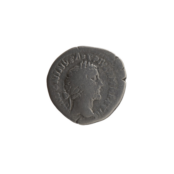Denarius, Antoninus Pius (86–161; Roman emperor 138–161), issuer: Antoninus Pius. Obverse: Head of