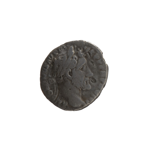 Denarius, Antoninus Pius (86–161; Roman emperor 138–161), issuer: Antoninus Pius. Obverse: Head of