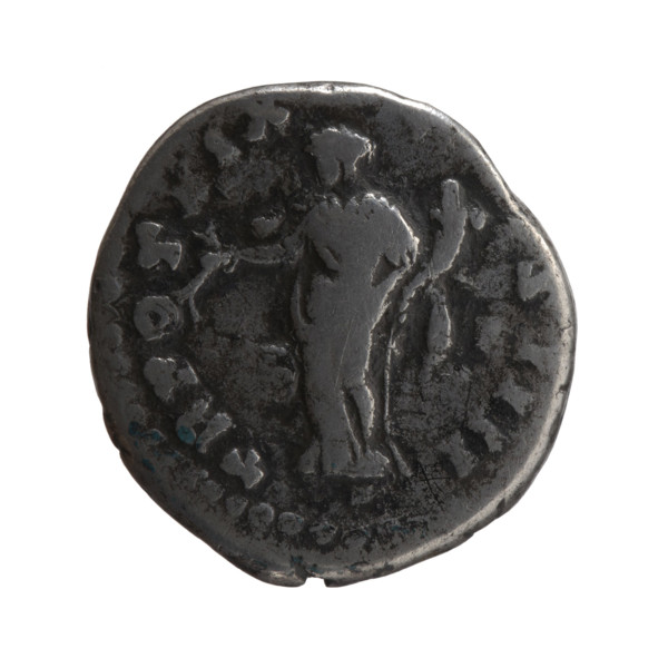 Denarius of Antoninus Pius (86–161; Roman Emperor 138–161), 155–156. Obverse: Head of Antoninus