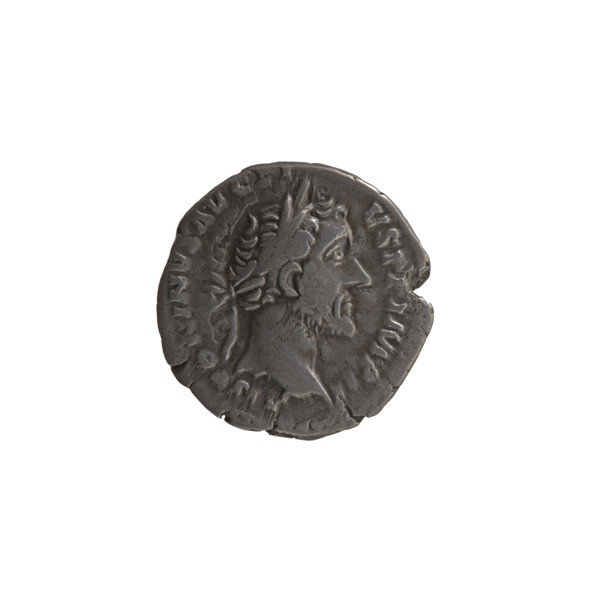 Denarius of Antoninus Pius (86–161; Roman emperor 138–161). Obverse: Head of the emperor in a