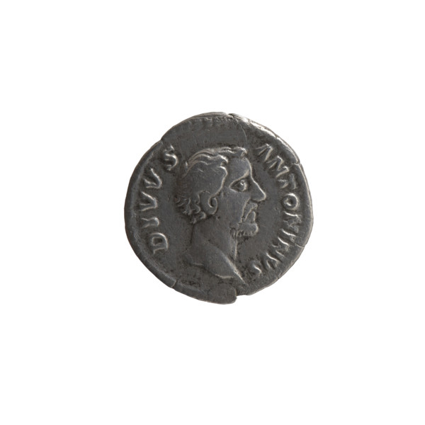 Denarius, posthumous; obverse: head of Antoninus Pius (86–161; Roman emperor 138–161) bare, facing