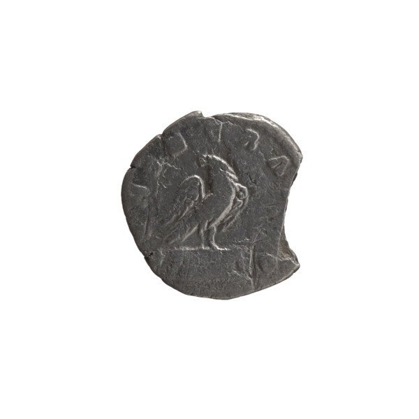 Denarius depicting head of Antoninus Pius (posthumous) on obverse; reverse shows an eagle standing