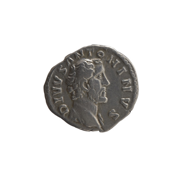 Denarius of Lucius Verus (issuer) and Marcus Aurelius (issuer); posthumous depiction of Antoninus