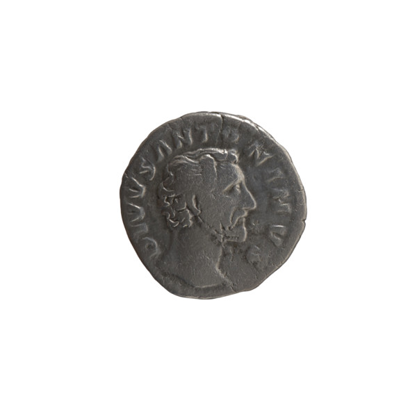 Denarius of Lucius Verus (issuer) and Marcus Aurelius (issuer), honoring Antoninus Pius