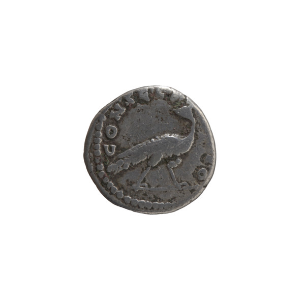 Denarius, Faustina the Elder (98–141; Roman empress 138–141) (posthumous issue of Antoninus Pius,