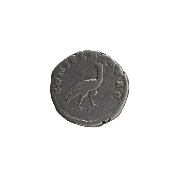 Denarius, posthumous issue for Faustina the Elder (98–141; Roman empress 138–141), issuer Antoninus